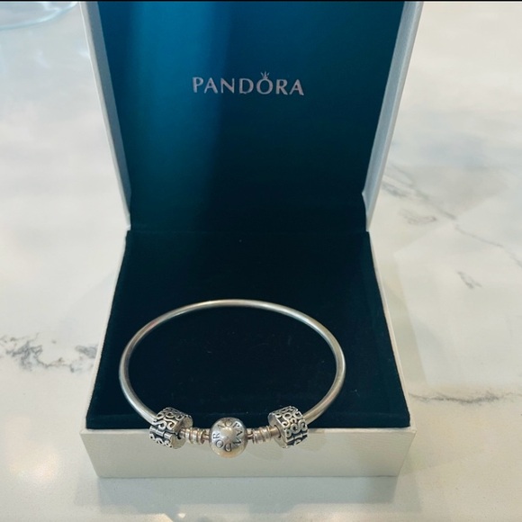 Pandora Silver Bracelet with Intricate Charms